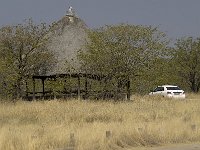 Etosha P8295235AUG08