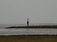 Etosha P8295256AUG08