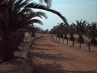 Kalahari P8213455AUG08