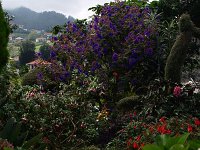 2009-09-16 MADEIRA 367